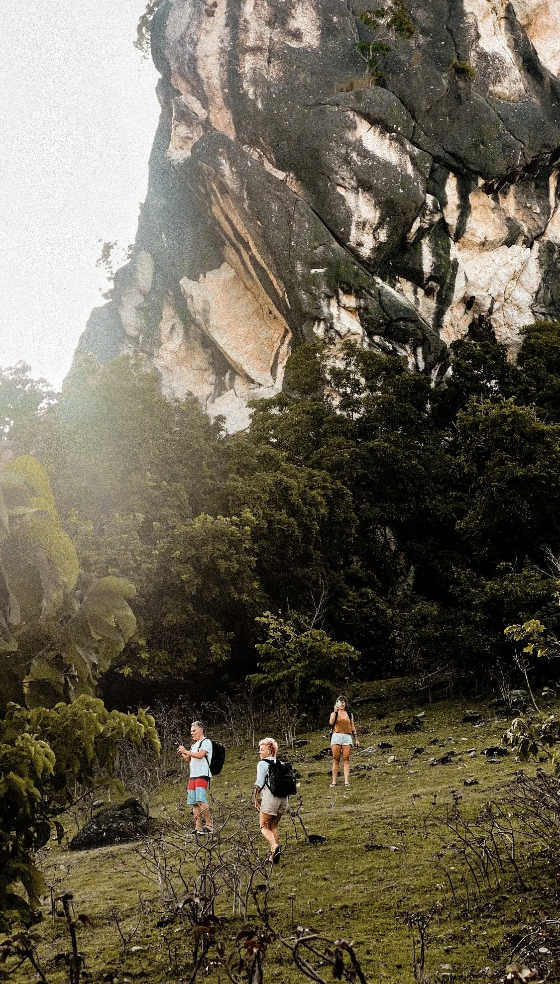 Travellers exploring beneath a towering rock face among Rote's greenery